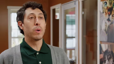 Get to Know Cats In The City